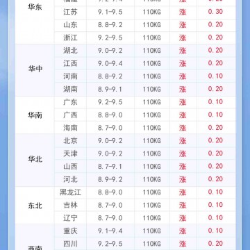 2024年10月11日 明日豬價漲瘋了！