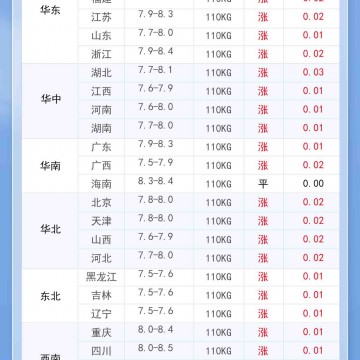 2024年12月26日 明日豬價一片紅！