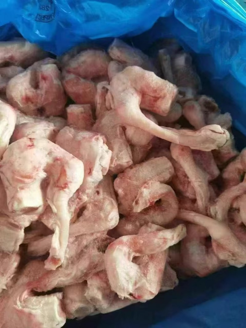 羔羊拐筋 282廠
