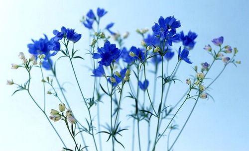 文學藝術創作和科學研究離不開審美聯想和審美想象