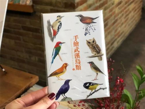 探訪本城最文藝的4家書店,最好賣的居然是這些文創(chuàng)產(chǎn)品 文化頻道